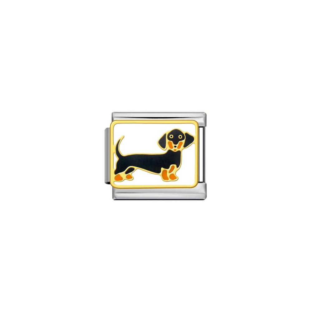 Dachshund Italian Charm