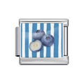 Silver Blueberry Stripe Italian Charm clean product thumbnail