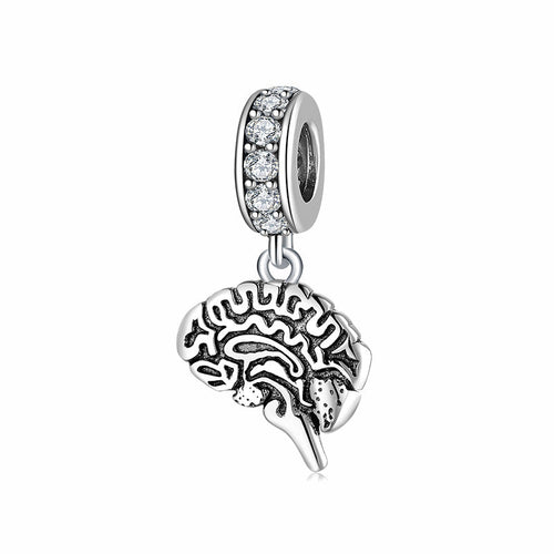 CALEO Charm - Brain Anatomy