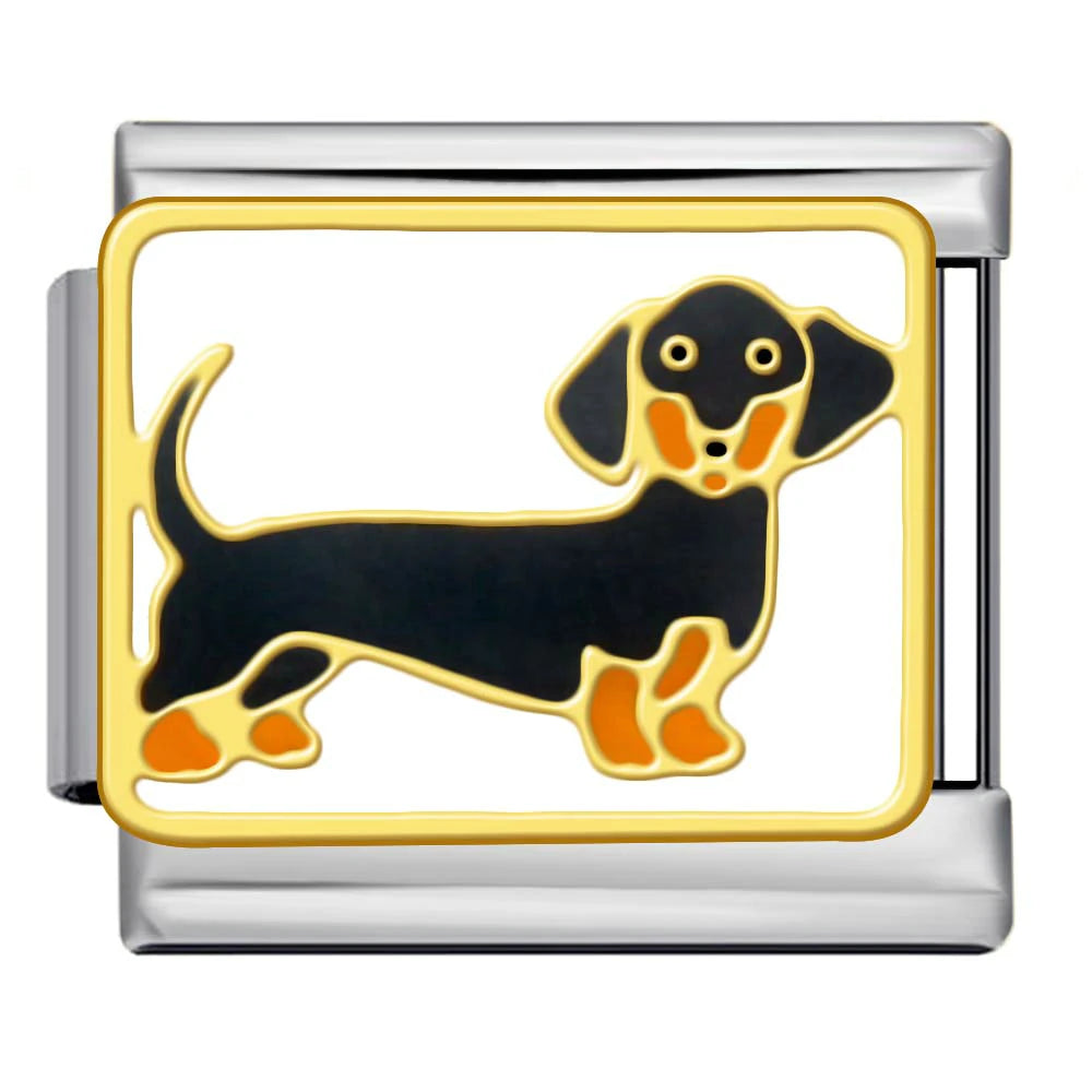 Dachshund Italian Charm