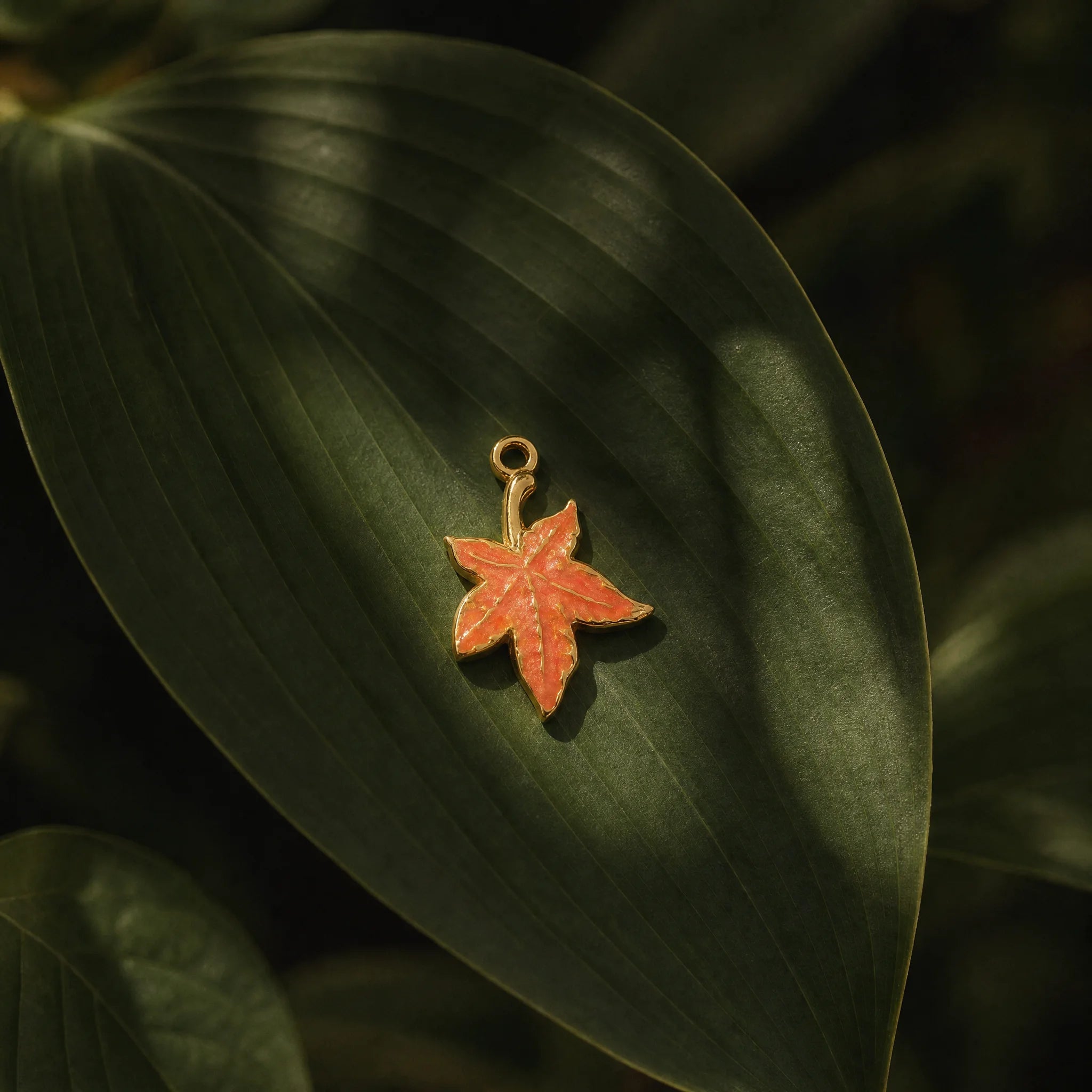 CALEO Nature & Flowers color-matched lifestyle image - Amber Maple Leaf Charm Set - nature-flowers-color-green-ref26-amber-maple-leaf-charm-set - 2026-07-27